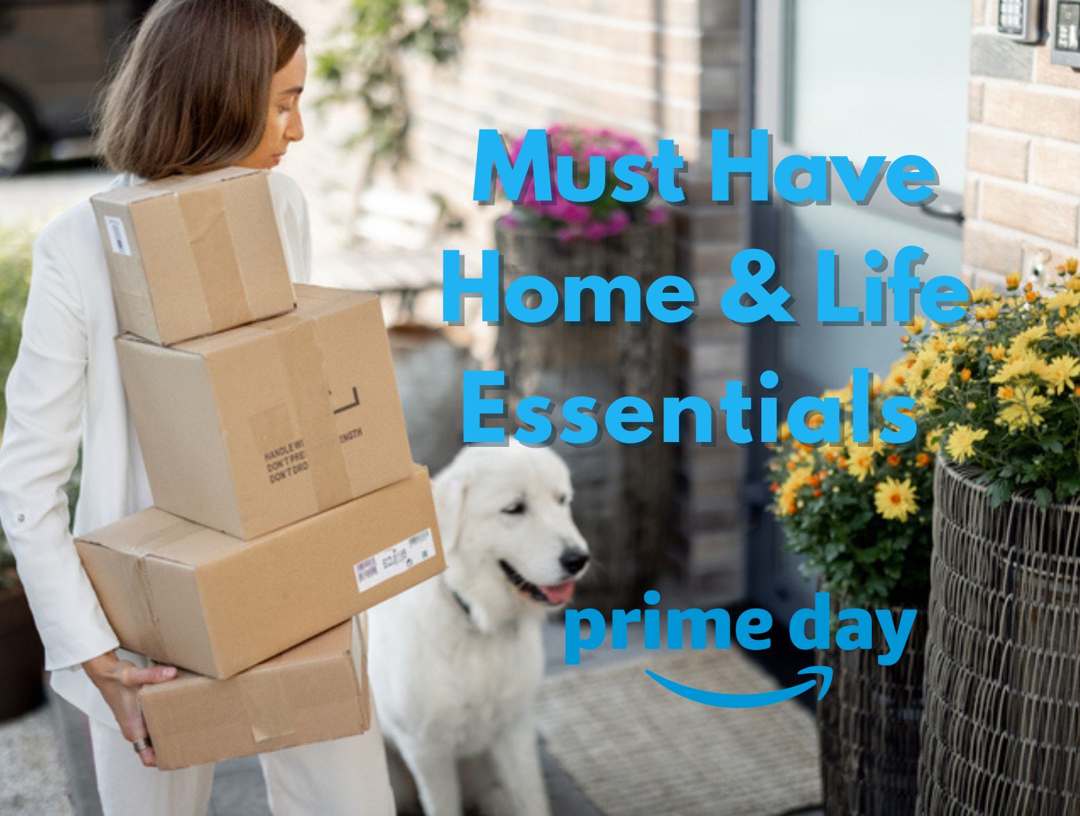 Prime Day Home and Life Essentials