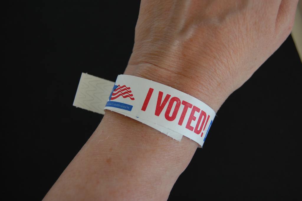 i voted bracelet