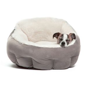 dog in a deep dog bed
