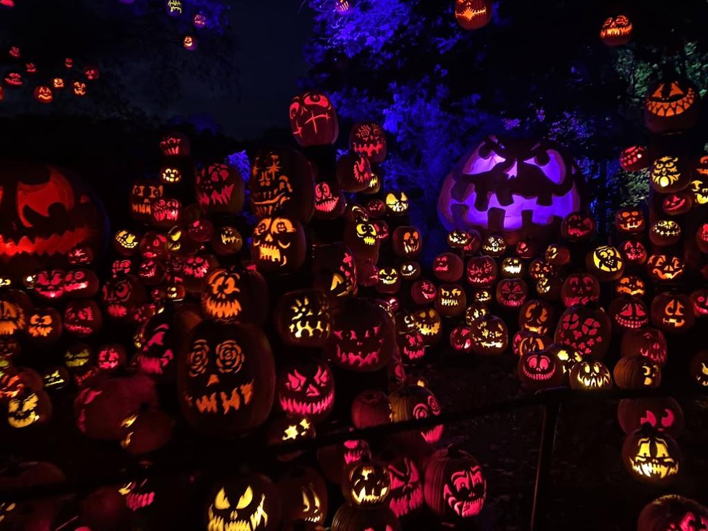 See 5000 Carved Illuminated Pumpkins Only Minutes from Boston