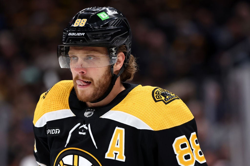 BOSTON, MASSACHUSETTS - OCTOBER 17: David Pastrnak #88 of the Boston Bruins looks on during the first period against the Florida Panthers at TD Garden on October 17, 2022 in Boston, Massachusetts. (Photo by Maddie Meyer/Getty Images)