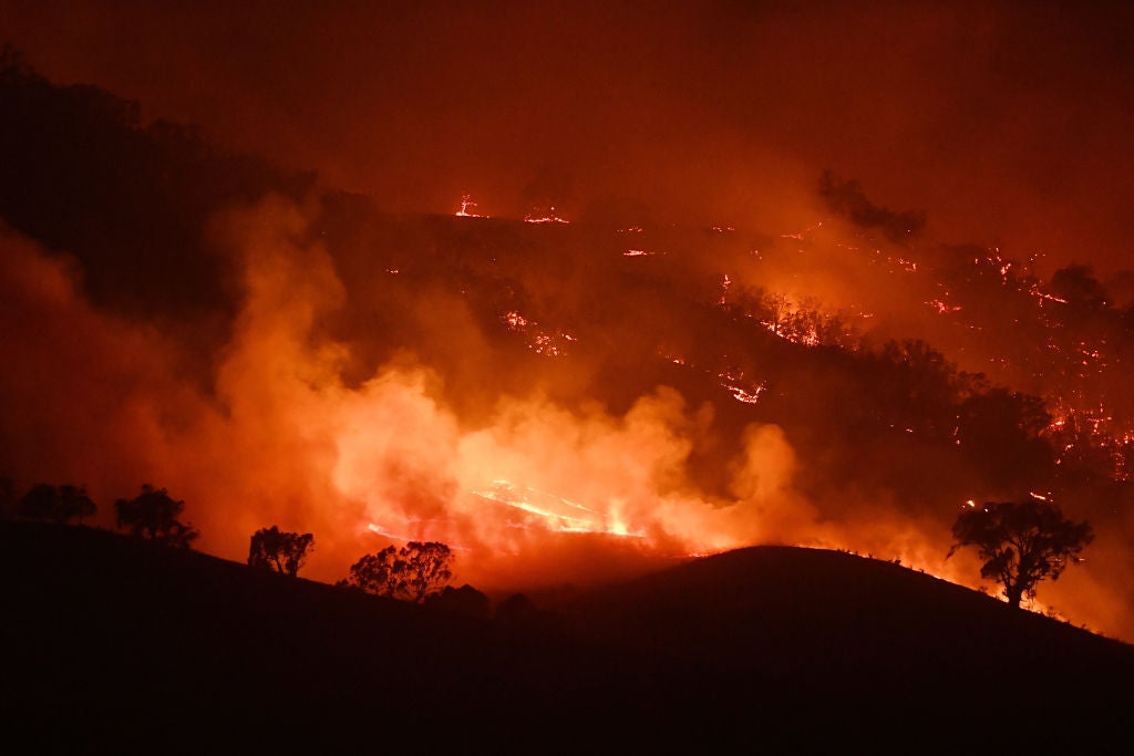 NSW On Severe Bushfire Alert As Weather Conditions Worsen