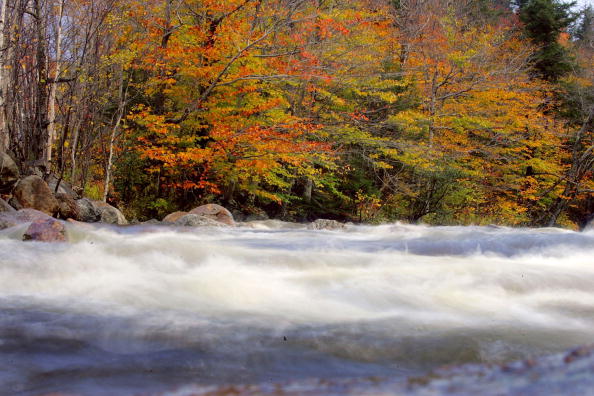 9 Scenic Fall Foliage Train Tours In New England