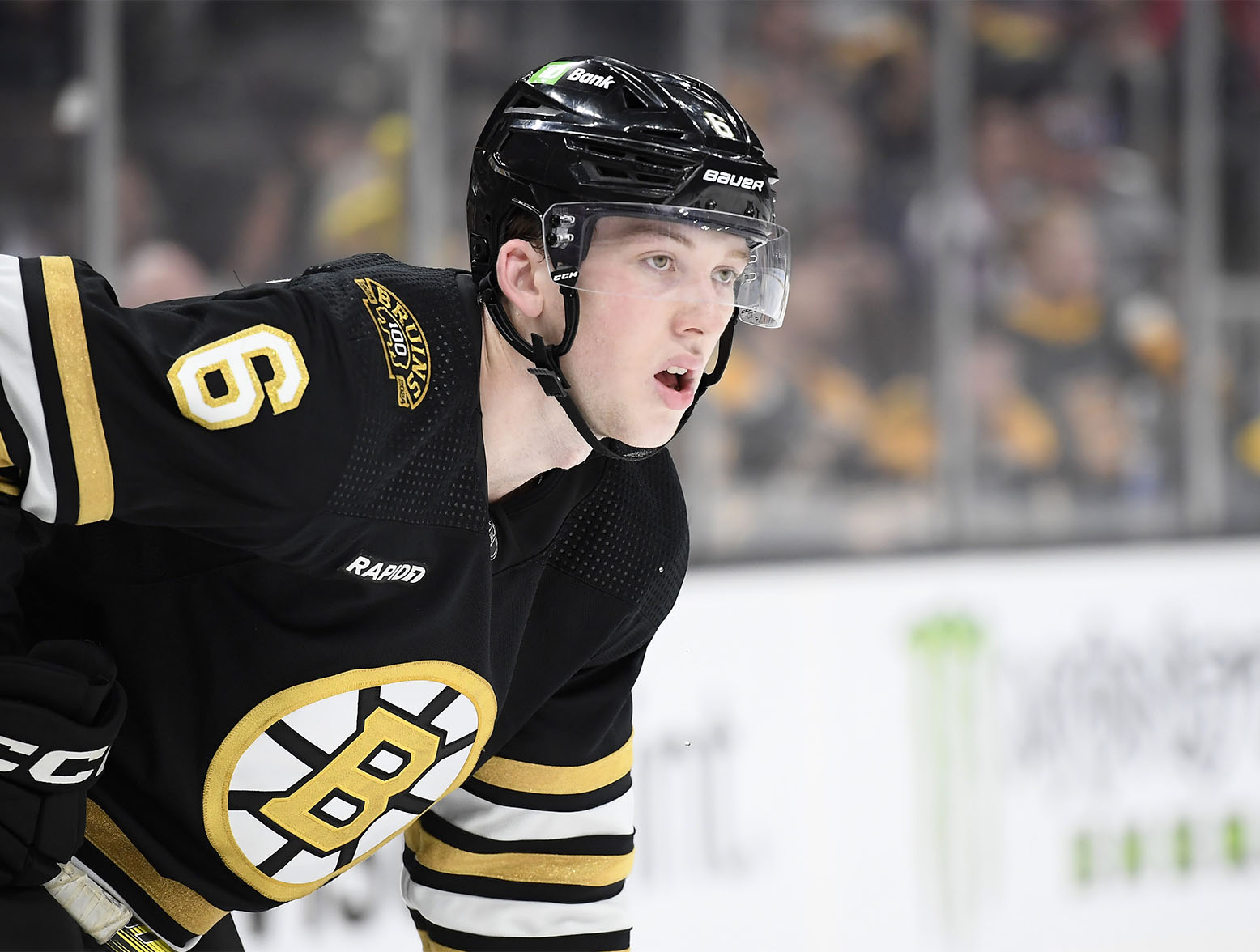 Bruins place three players on waivers as final cuts loom