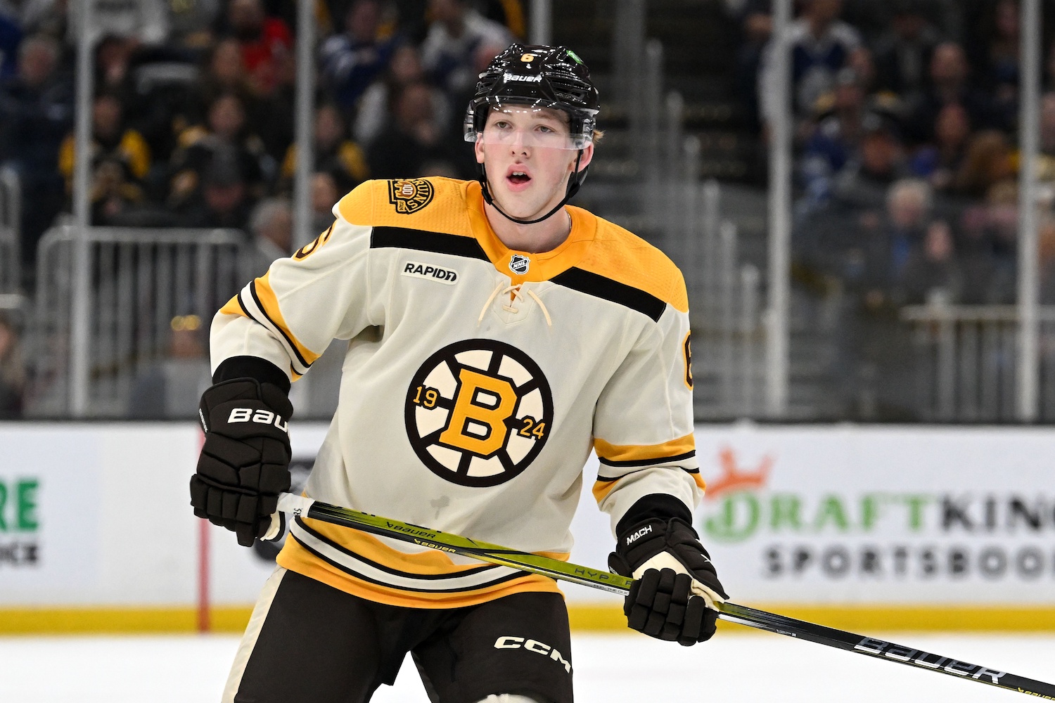 Nov 2, 2023; Boston, Massachusetts, USA; Boston Bruins defenseman Mason Lohrei (6) watches a play against the Toronto Maple Leafs during the first period at the TD Garden. Mandatory Credit: Brian Fluharty-USA TODAY Sports