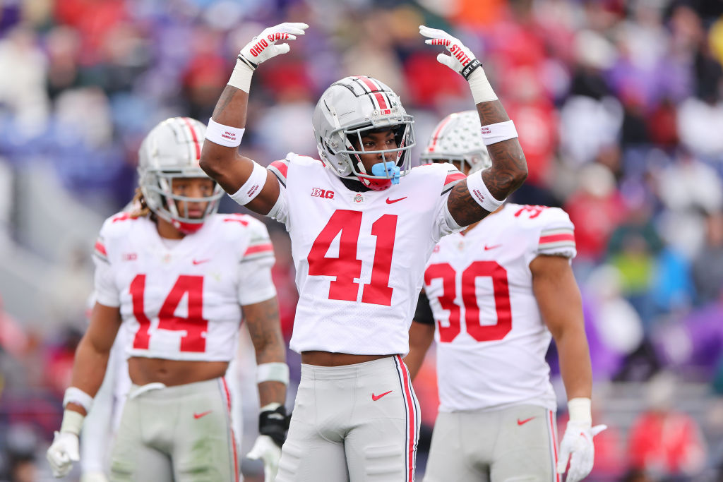 EVANSTON, ILLINOIS - NOVEMBER 05: Josh Proctor #41 of the Ohio State Buckeyes reacts against the Northwestern Wildcats during the second half at Ryan Field on November 05, 2022 in Evanston, Illinois. (Photo by Michael Reaves/Getty Images)