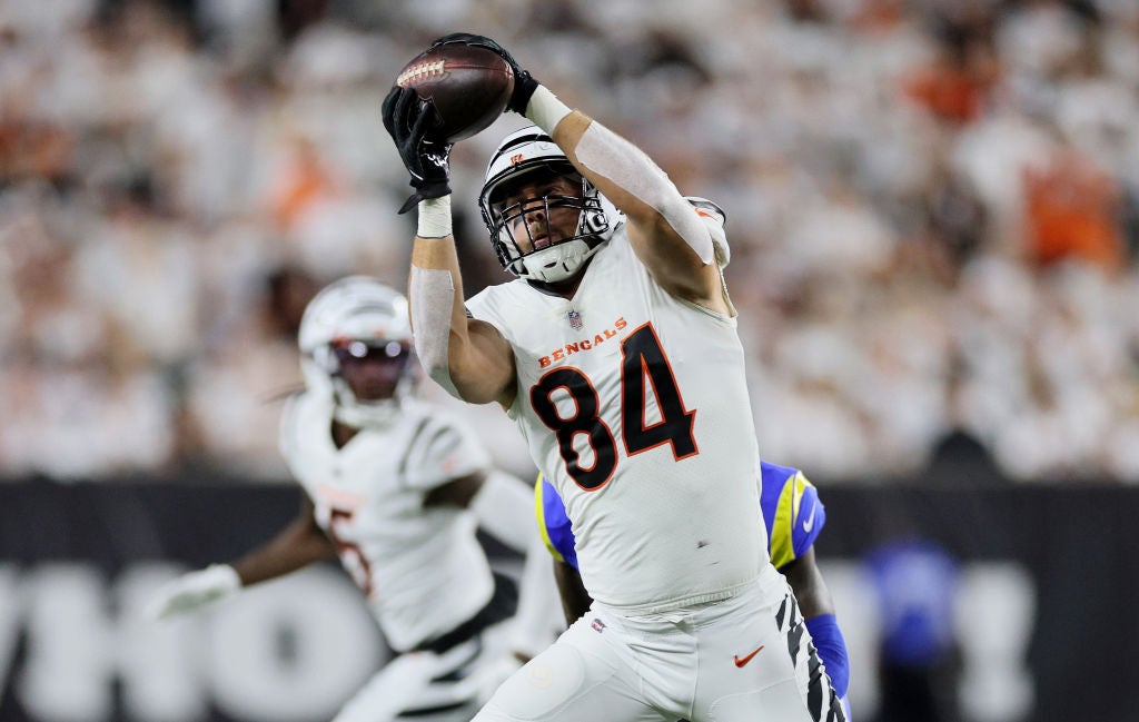 Patriots sign free agent tight end Mitchell Wilcox